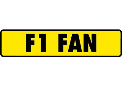 Lot 136 - F1 FAN