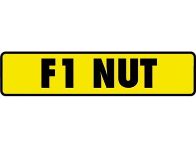 Lot 137 - F1 NUT