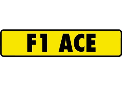 Lot 138 - F1 ACE