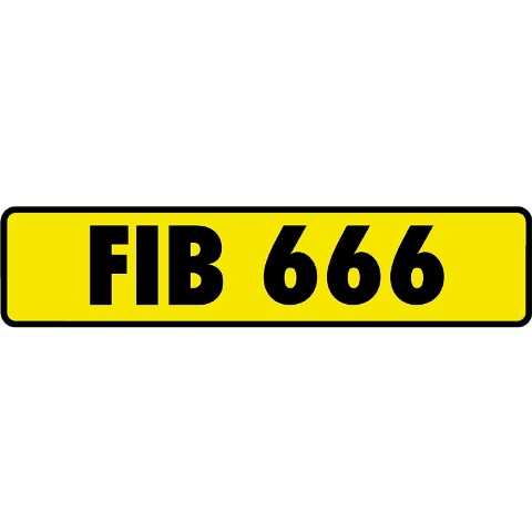 666 Register Lot 156 - FIB 666 Registration