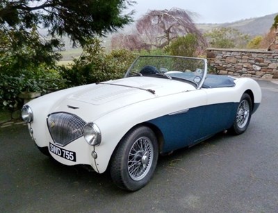 Lot 248 - 1955 Austin Healey 100/4 BN2 Up-rated to 100M Spec