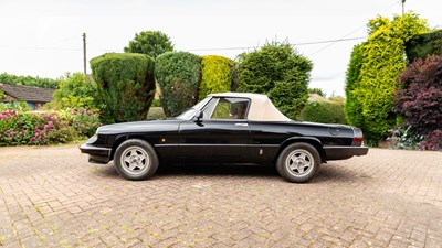 Lot 273 - 1982 Alfa Romeo Spider