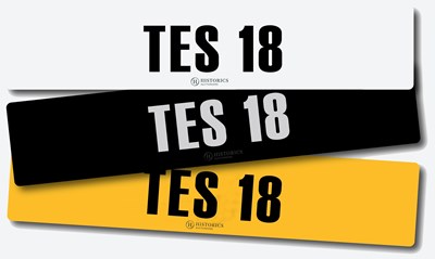 Lot Registration TES 18