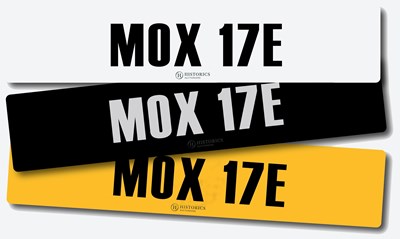 Lot Registration MOX 17E