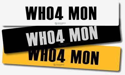 Lot Registration WH04 MON