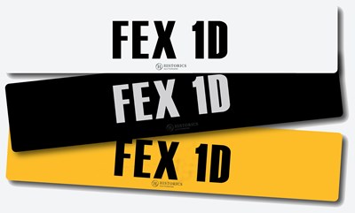 Lot Registration FEX 1D