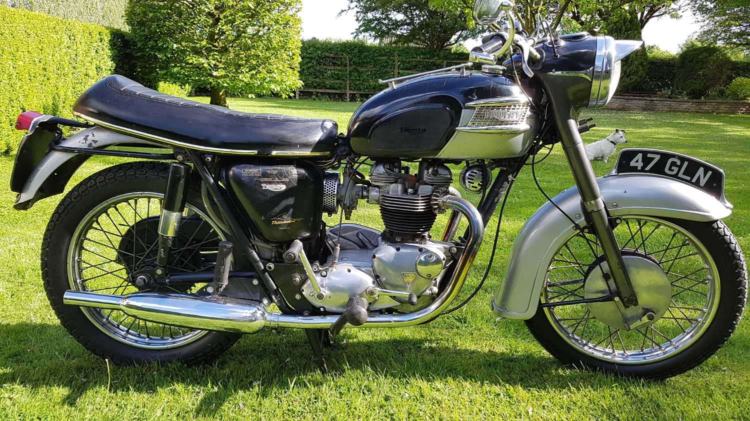 Click for high resolution Lot 112 - 1963 Triumph Thunderbird 6T